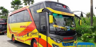 Daftar Harga Sewa Bus Pariwisata di Malang Murah Terbaru