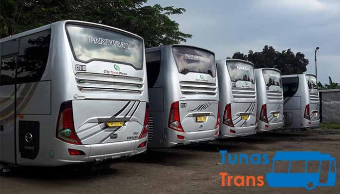 Panduan Lengkap Nomor Telepon Bus Pariwisata di Bogor: Temukan Transportasi Terbaik untuk Perjalanan Anda