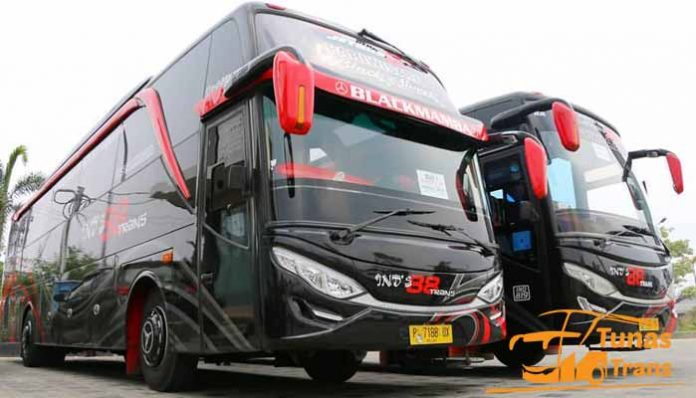 Daftar Harga Sewa Bus Pariwisata di Bondowoso Murah Terbaru
