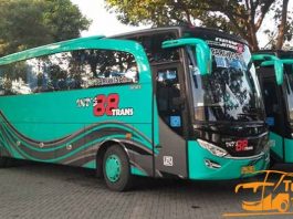 Daftar Harga Sewa Bus Pariwisata di Probolinggo Murah Terbaru