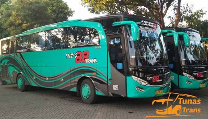 Daftar Harga Sewa Bus Pariwisata di Probolinggo Murah Terbaru